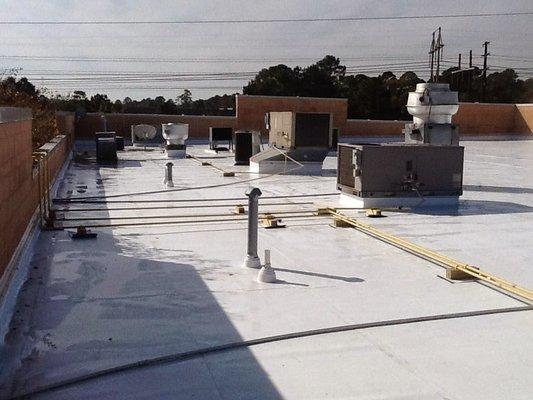 Dynamic Roofing Solutions