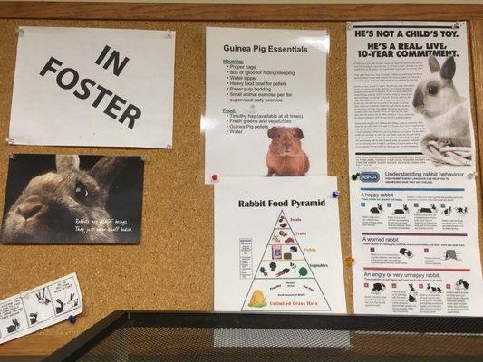 Small Mammal Room info board-