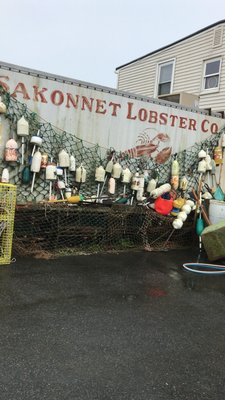 Sakonnet Lobster