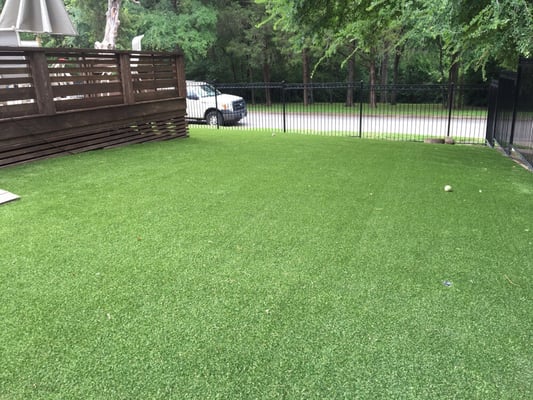 Back yard with synthetic grass ready for dogs!