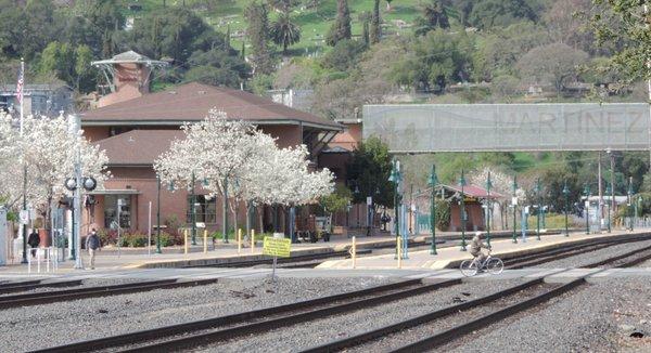 Amtrak Building 
 Chamber Offices 
 Downtown Martinez