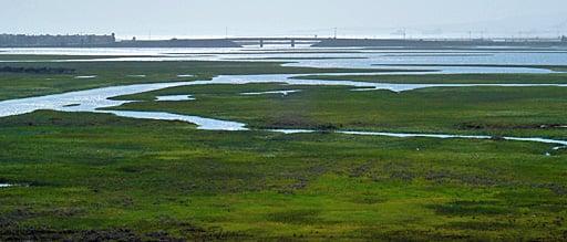 Seal Beach looking towards Pacific Ocean