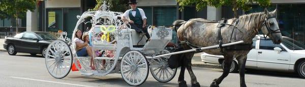 Mj Carriage Service