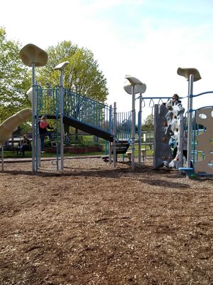 Slide, monkey bars, rock climbing wall