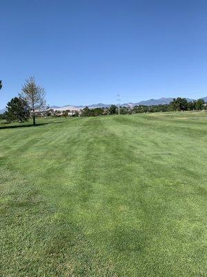 Green fairway for days