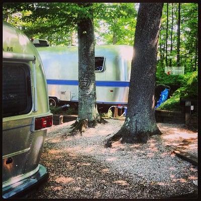 Spacious, wooded lots are a staple of Holiday Park Campground.