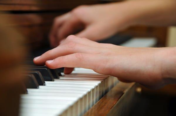 The piano is a fundamental instrument that is incredible to listen to. With several teachers available to teach you, sign up today!