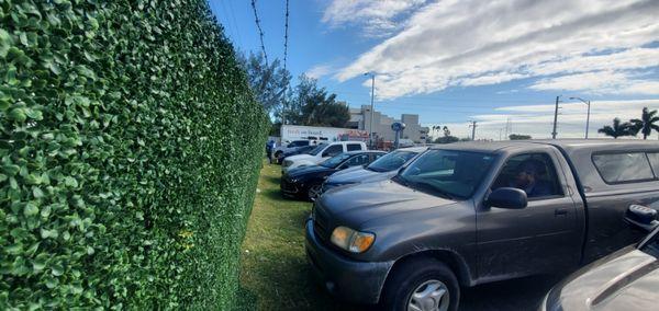 Artificial Boxwood Ivy Fence Ford Dealer