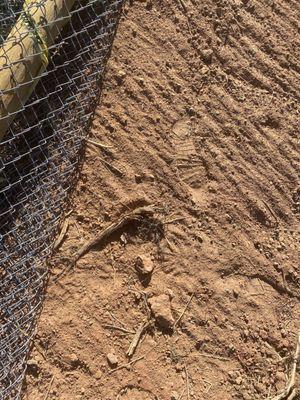 Foot prints of Bray and Company employees while cutting fence down.