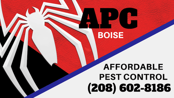 Affordable Pest Control