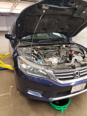 Honda Service and Maintenance