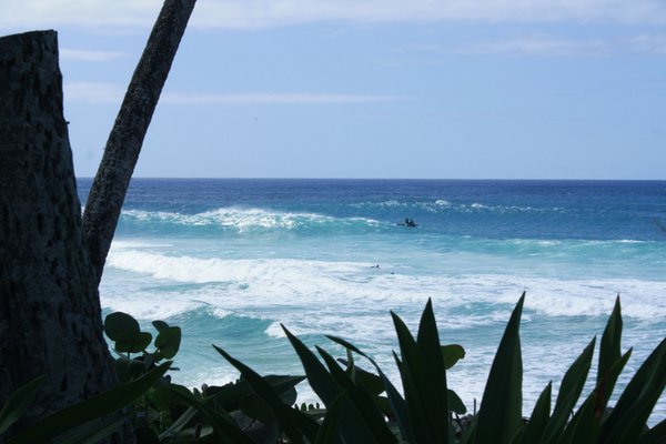 The best way to see the North Shore and its beautiful beaches.