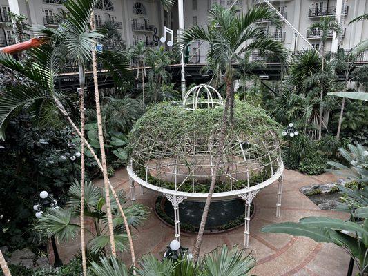 Greenery in hotel