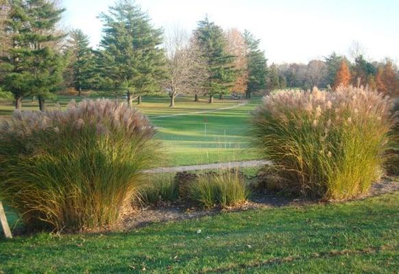 View from the back of the 6th green. You will likely hit a short iron but stay below the pin, look out for a quick downhill putt