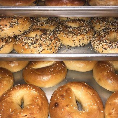 Artisan bagels baked fresh in Massachusetts