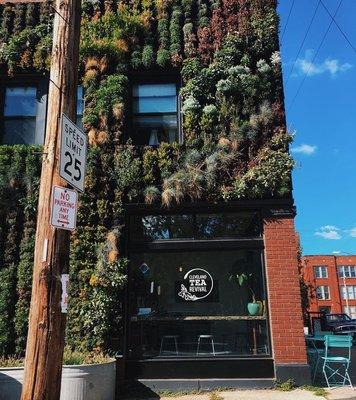 Beautiful living wall outside Cleveland Tea Revival.