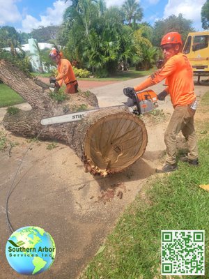 complete Tree Service  954-603-7878