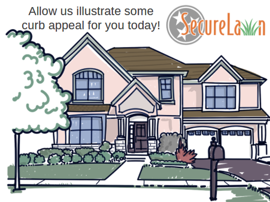 You Need Curb Appeal?