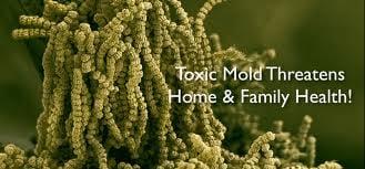 Fort Mill Mold Remediation