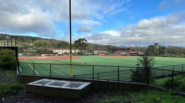 Main field. It's turf and I'm excellent condition.