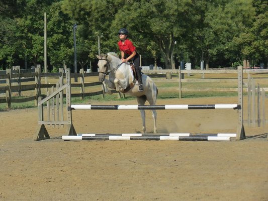 Safe and Happy Horses for all levels of riders!