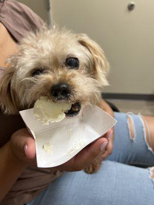 Lucy was given ice cream and chocolate before she went to heaven.