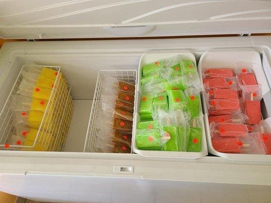 Homemade paletas