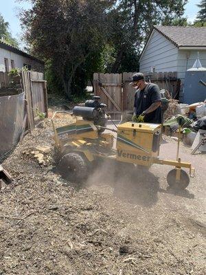 Vermeer stump grinder in action