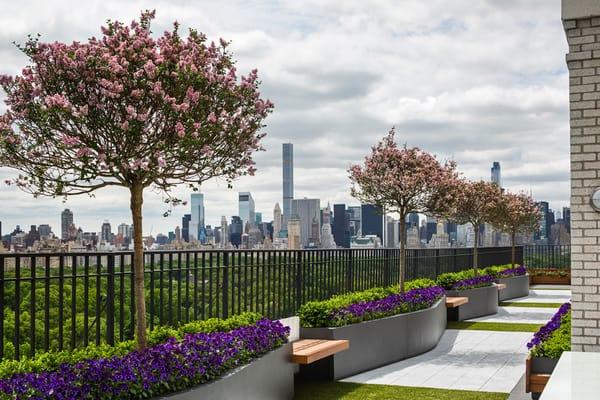 CPW Penthouse Terrace