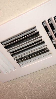 Mold in bathroom air vents