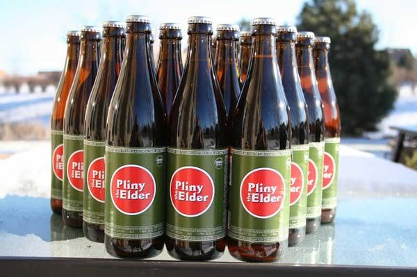 Pliny