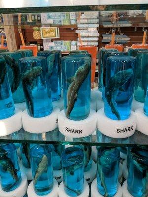 Awful display of BABY SHARKS killed and sold as tchotchkes!  Disgusting.  Avoid this horrible place.