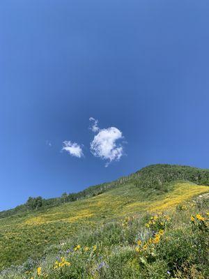 Brush Creek Trailhead