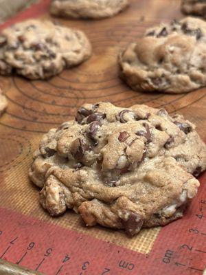 Chocolate chip pecan w/walnuts