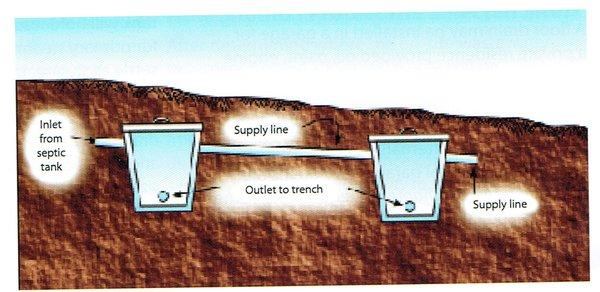 Septic diagram.