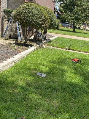 trimming a garden