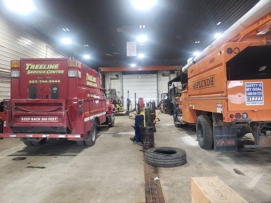 Treeline Service Center Bays