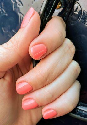 Basic gel manicure with color 43. I think it was called orangey pink. It's a beautiful color