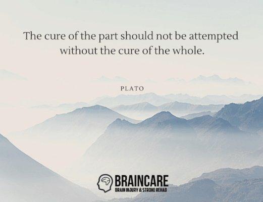 The cure of the part should not be attempted without the cure of the whole.