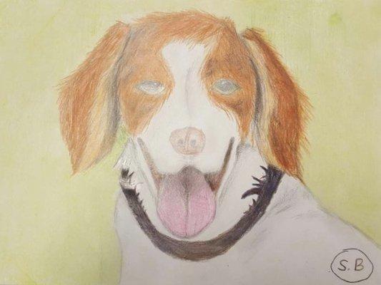 Student Work, 4th-7th Grade, Colored Pencil on Sketch Paper