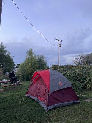 Our campground w sunflowers by us :)