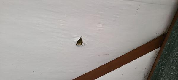 Hole in the ceiling of my unit where water was leaking from