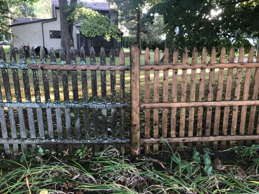 Fence Pressure Washing