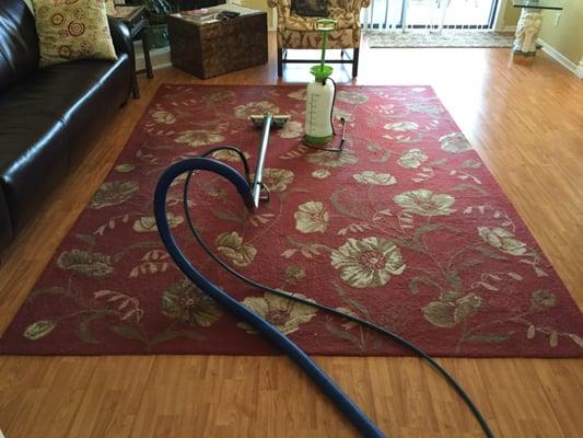 Magic Touch Carpet Care