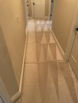 Hall Carpet Cleaning