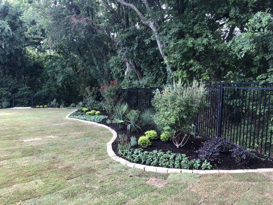 Backyard landscaping around the pool and all new grass