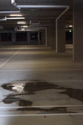 One of several water leaks in parking garage