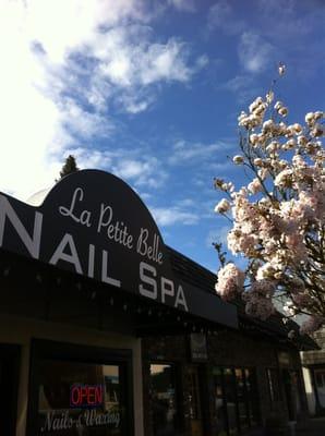 La Petite Belle Nail Spa