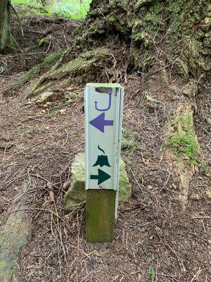 Fishhook or steaming stump? I took a left.