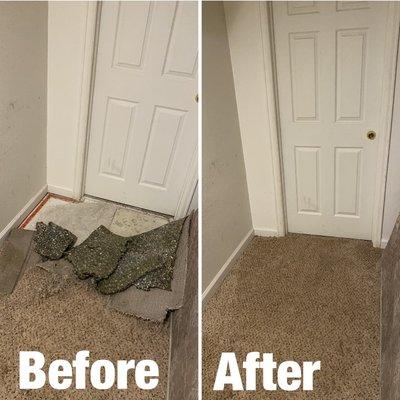 This is a carpet repair that we did for a client after their dog tore it up after being scared of 4th of July Fireworks